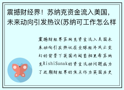 震撼财经界！苏纳克资金流入美国，未来动向引发热议(苏纳可工作怎么样)